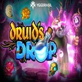 Druid’s Drop